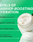 Innisfree Green Tea Seed Hyaluronic Cream (50ml)