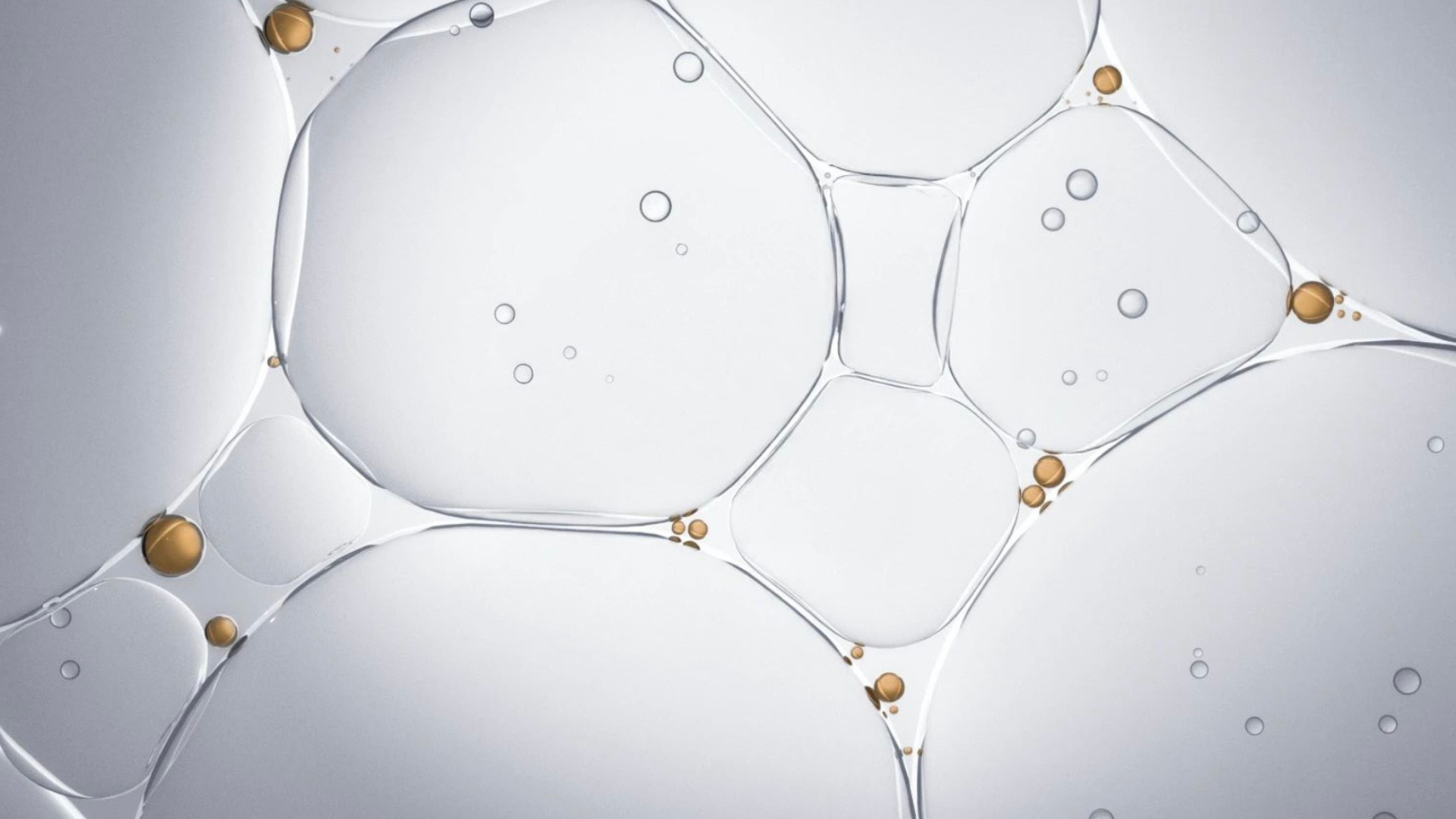 The Power of Actives: Science Meets Skincare