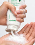 INNISFREE Green Tea Amino Acid Cleansing Foam (150ml)